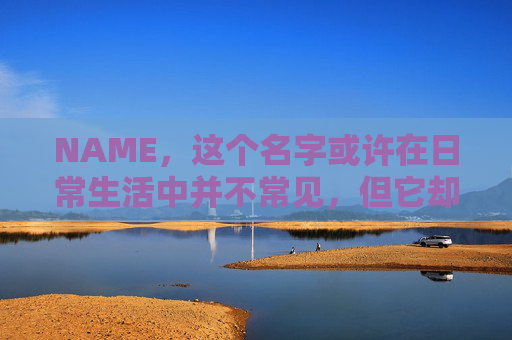 NAME，这个名字或许在日常生活中并不常见，但它却在某些领域里扮演着重要的角色。今天，让我们一起来探索这个名字背后的故事和意义